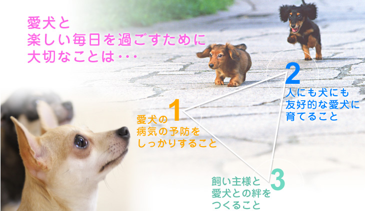 パピー教室（子犬のしつけ教室）